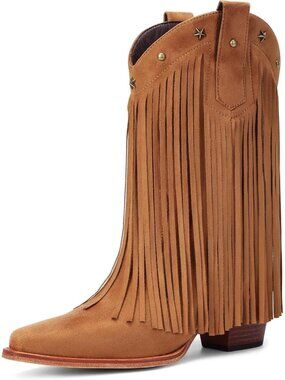 Women's Brown Fringe Cowgirl Boots with Star Studded Pointed Toe Chunky Heels